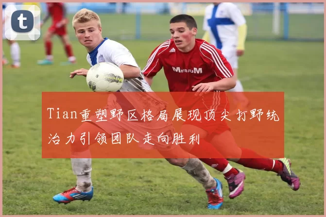 Tian重塑野区格局展现顶尖打野统治力引领团队走向胜利