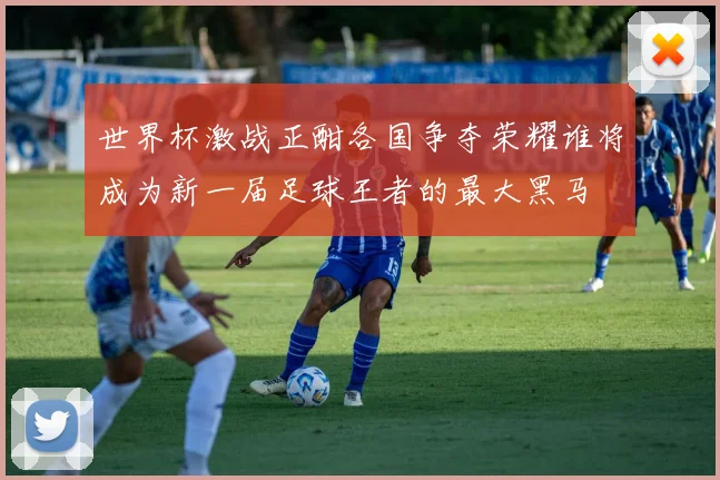 世界杯激战正酣各国争夺荣耀谁将成为新一届足球王者的最大黑马