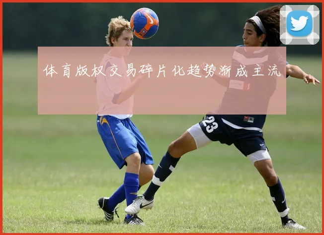 体育版权交易碎片化趋势渐成主流