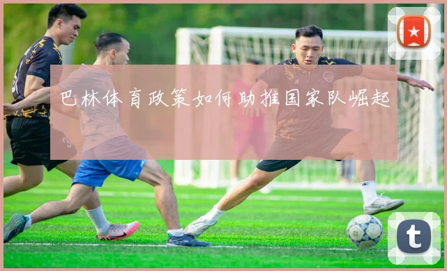 巴林体育政策如何助推国家队崛起