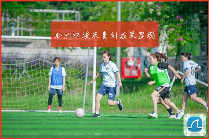 非洲杯埃及青训成果显现